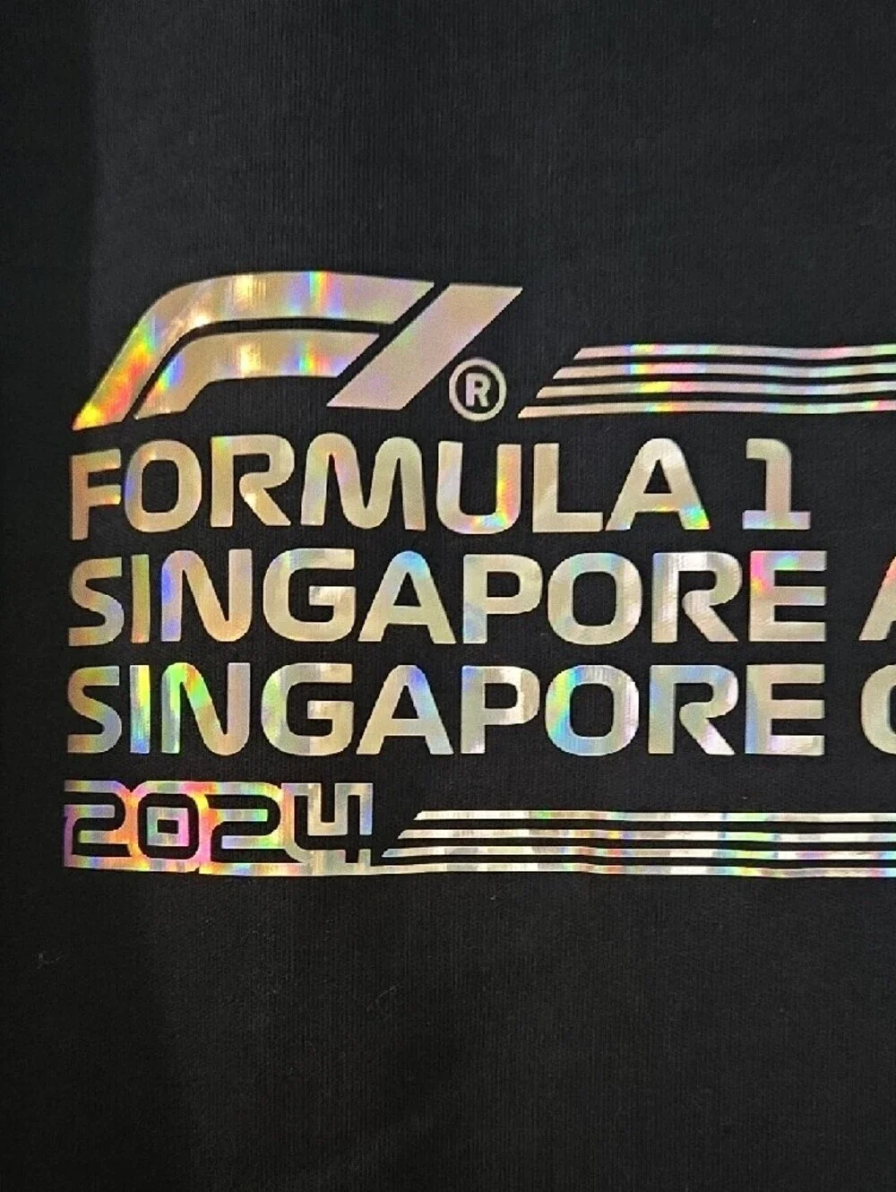 Formula 1 Singapore Grand Prix Navy Zipup